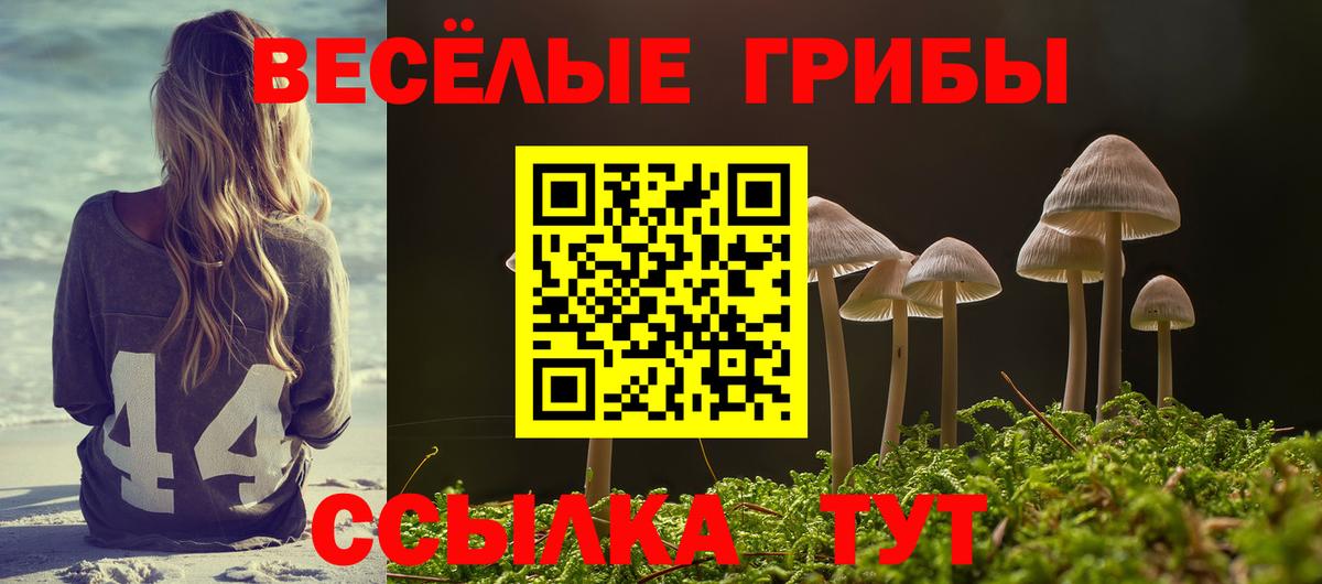Магнитогорск  Псилоцибиновые грибы MAGIC MUSHROOMS  Вход с VPN 