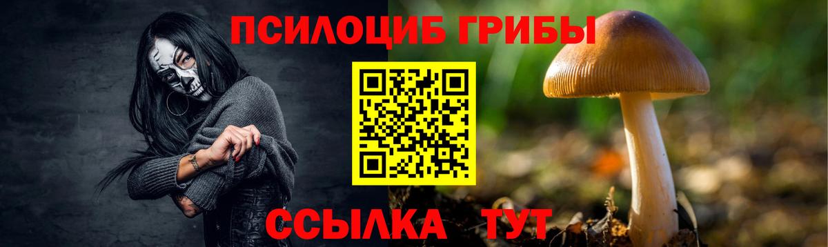 Галлюциногенные грибы мухоморы Магнитогорск